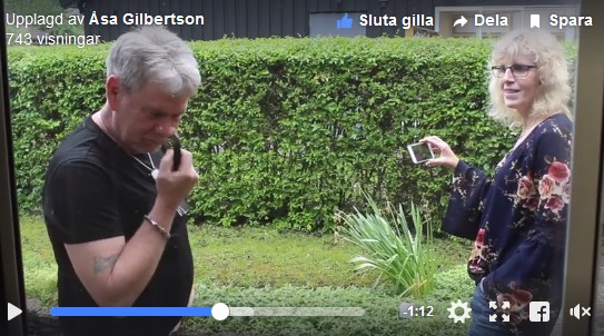 Surströmmingspremiär