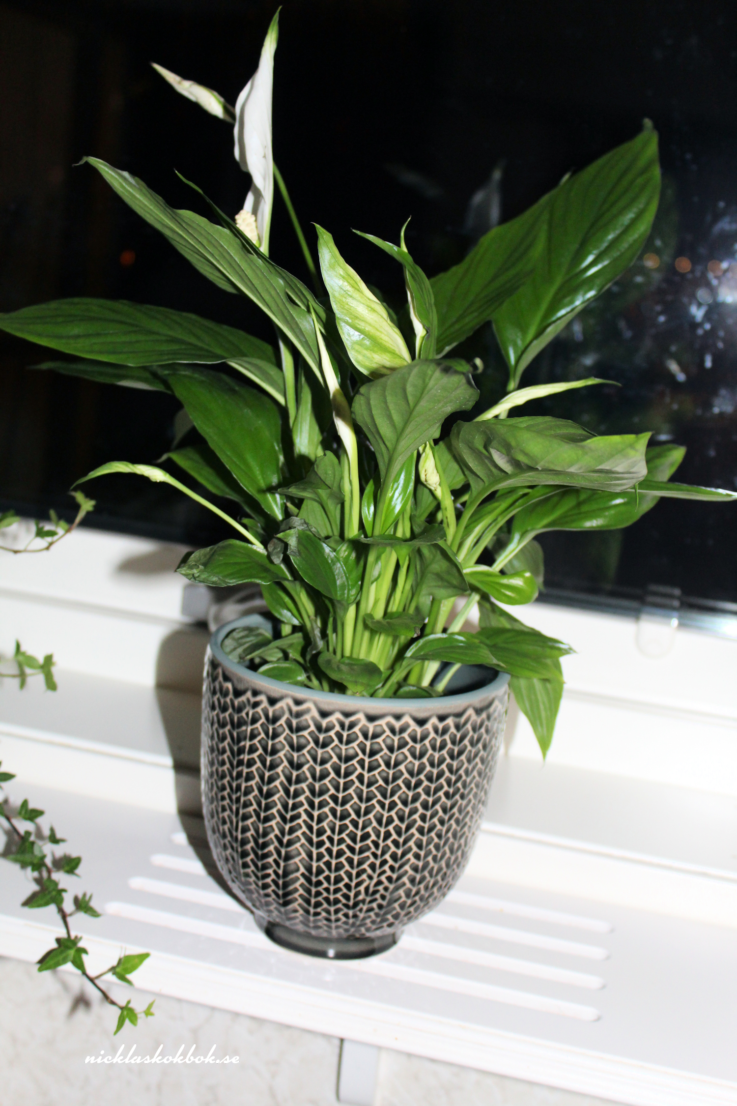 Mjölkfri matsedel vecka 11