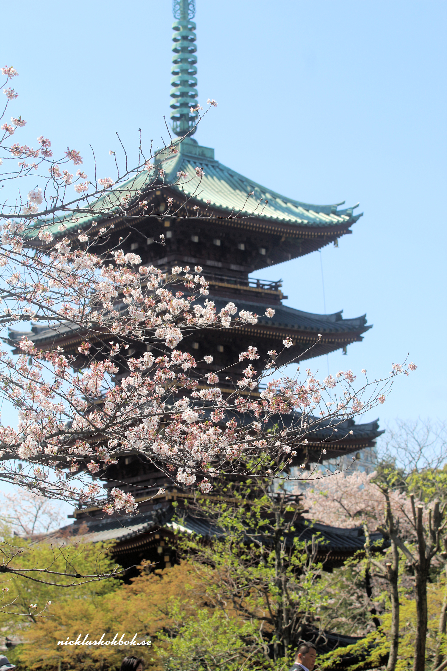 Tokyo 2018 – dag 3 – Ueno Zoological Gardens
