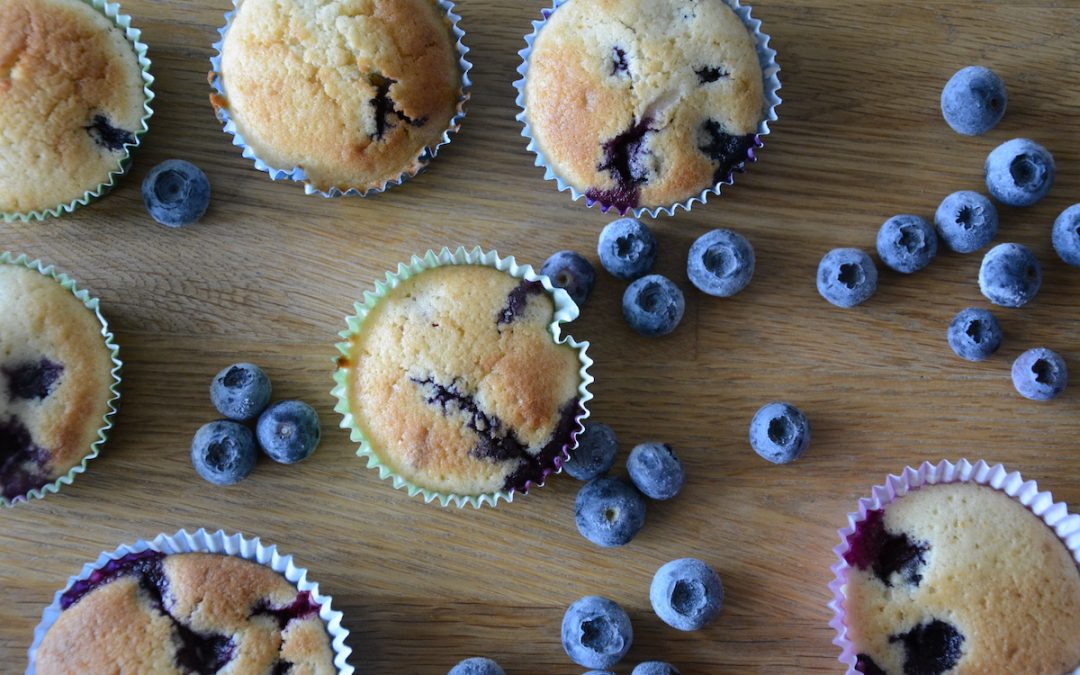 Blåbärsmuffins
